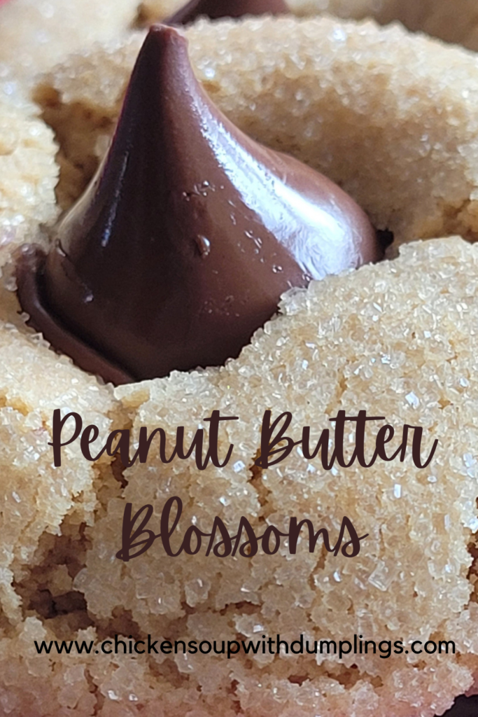 https://chickensoupwithdumplings.com/wp-content/uploads/2020/12/Peanut-Butter-Blossoms-Pinterest-683x1024.png