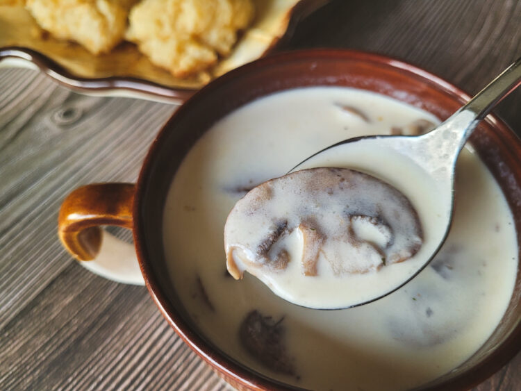 A dark brown mug of velvety white soup takes up most of the screen, with a spoon of soup and a single mushroom hovers over the soup.