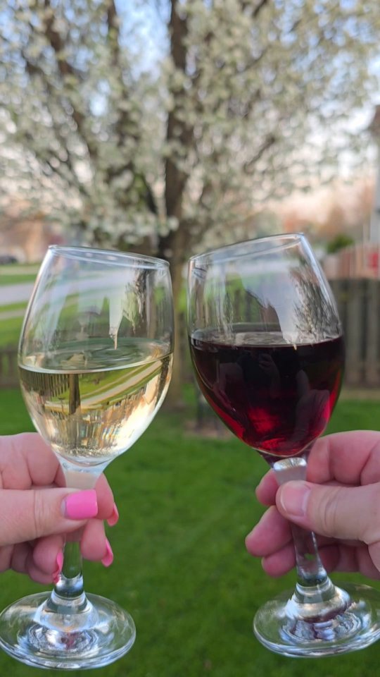 How did you celebrate Earth Day?
We beautified our yard and enjoyed a bottle of #gifted pinot grigio from ElementAL Wines.
ElementAL Wines are a certified sustainable, environmentally conscious choice. Their 100% aluminum bottles are infinitely recyclable! They're also eighty percent lighter than glass and shatterproof so they're perfect to enjoy outdoors.
All of ElementAL''s wines are gluten-free and vegan friendly. Their 2023 pinot grigio is perfect for enjoying on a warm day. It's light and refreshing with notes of orange blossom, melon, and honey. Knowing that it's a better choice for the planet makes it even more enjoyable!
Who wants to join me in sipping smarter with ElementAL?
.
.
.
@drinkelementalwines @apexdropofficial #drinkelementalwines #shareyoursustainablesips #pinotgrigio #earthday #cswdumplings #thefoodieinitiative #teamhappyfoodies #glutenfree #veganfriendly #winelover